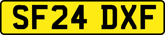SF24DXF