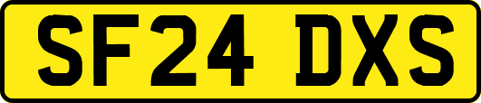 SF24DXS