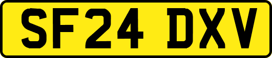 SF24DXV