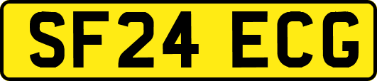 SF24ECG