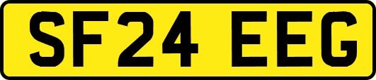SF24EEG