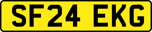 SF24EKG