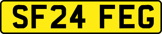 SF24FEG