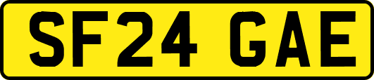 SF24GAE