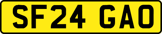 SF24GAO