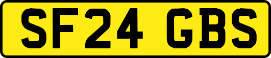 SF24GBS