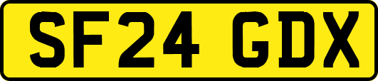 SF24GDX