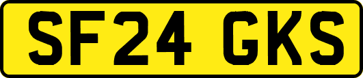 SF24GKS