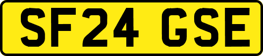 SF24GSE