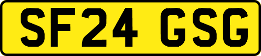 SF24GSG
