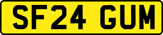 SF24GUM