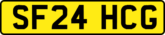 SF24HCG