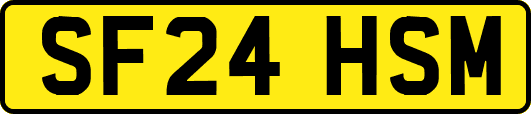 SF24HSM