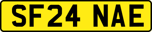 SF24NAE