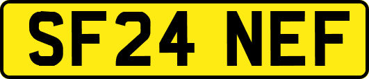 SF24NEF