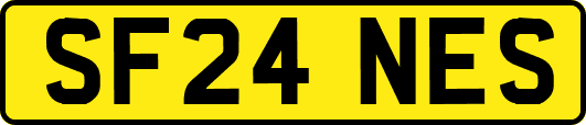 SF24NES