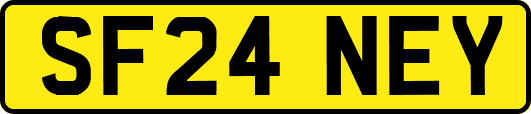 SF24NEY