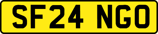 SF24NGO