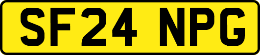 SF24NPG