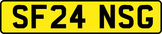 SF24NSG