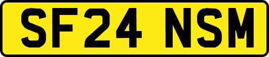 SF24NSM