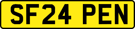 SF24PEN