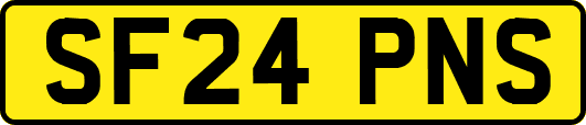 SF24PNS