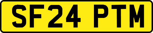SF24PTM