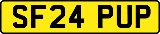 SF24PUP