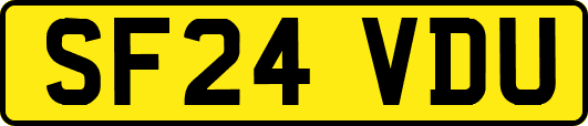 SF24VDU