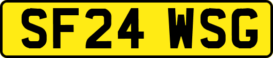SF24WSG