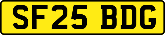 SF25BDG