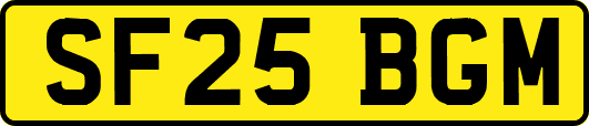 SF25BGM