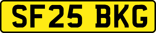 SF25BKG