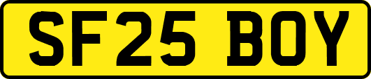 SF25BOY