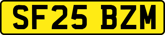 SF25BZM