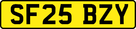 SF25BZY