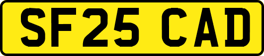 SF25CAD