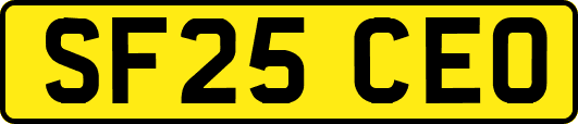 SF25CEO