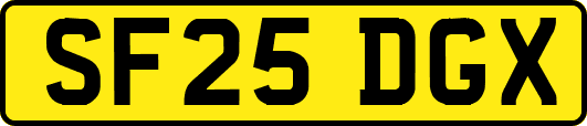 SF25DGX