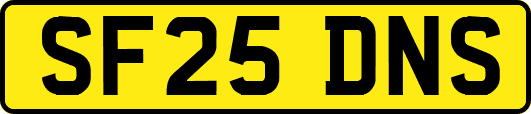 SF25DNS