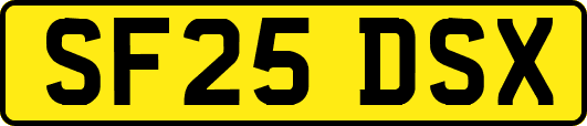 SF25DSX