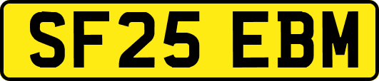 SF25EBM