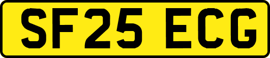 SF25ECG