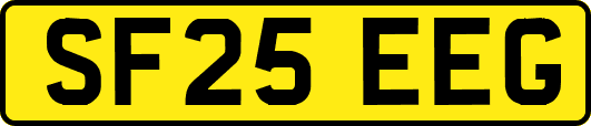 SF25EEG