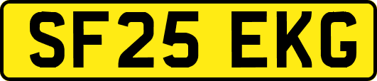 SF25EKG