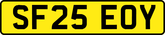 SF25EOY