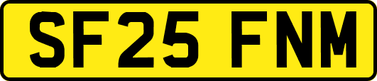 SF25FNM