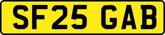 SF25GAB
