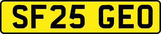 SF25GEO